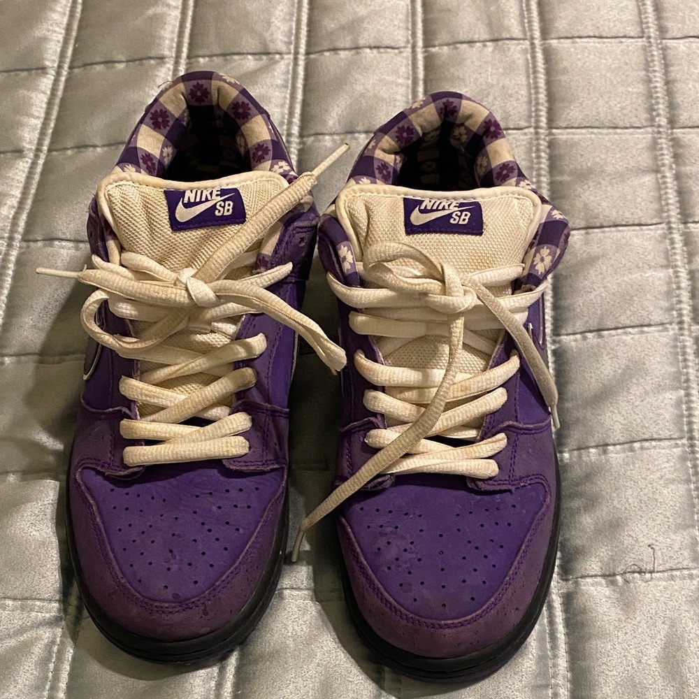Nike SB Purple and Cream Sneakers